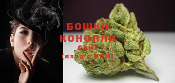 ГАЛЛЮЦИНОГЕННЫЕ ГРИБЫ Белоозёрский
