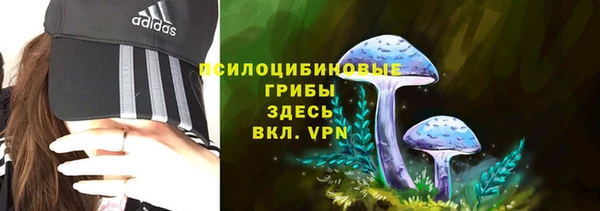 прущий лед Белокуриха